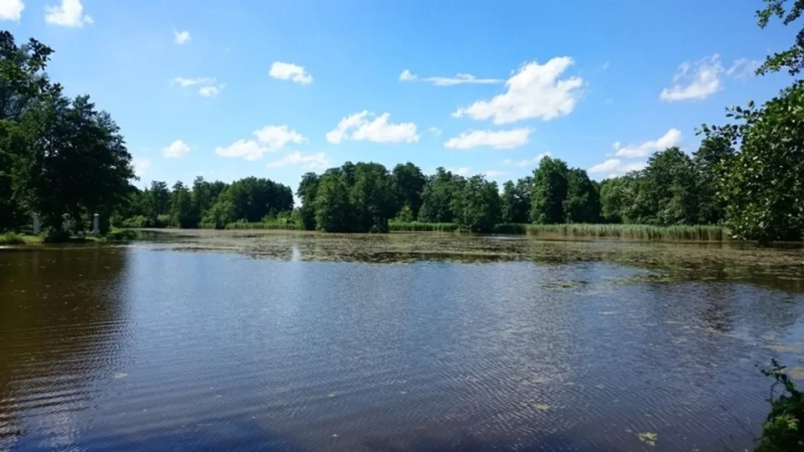 Łowisko Agrostawy — łowisko komercyjne w Błędów, woj. mazowieckie