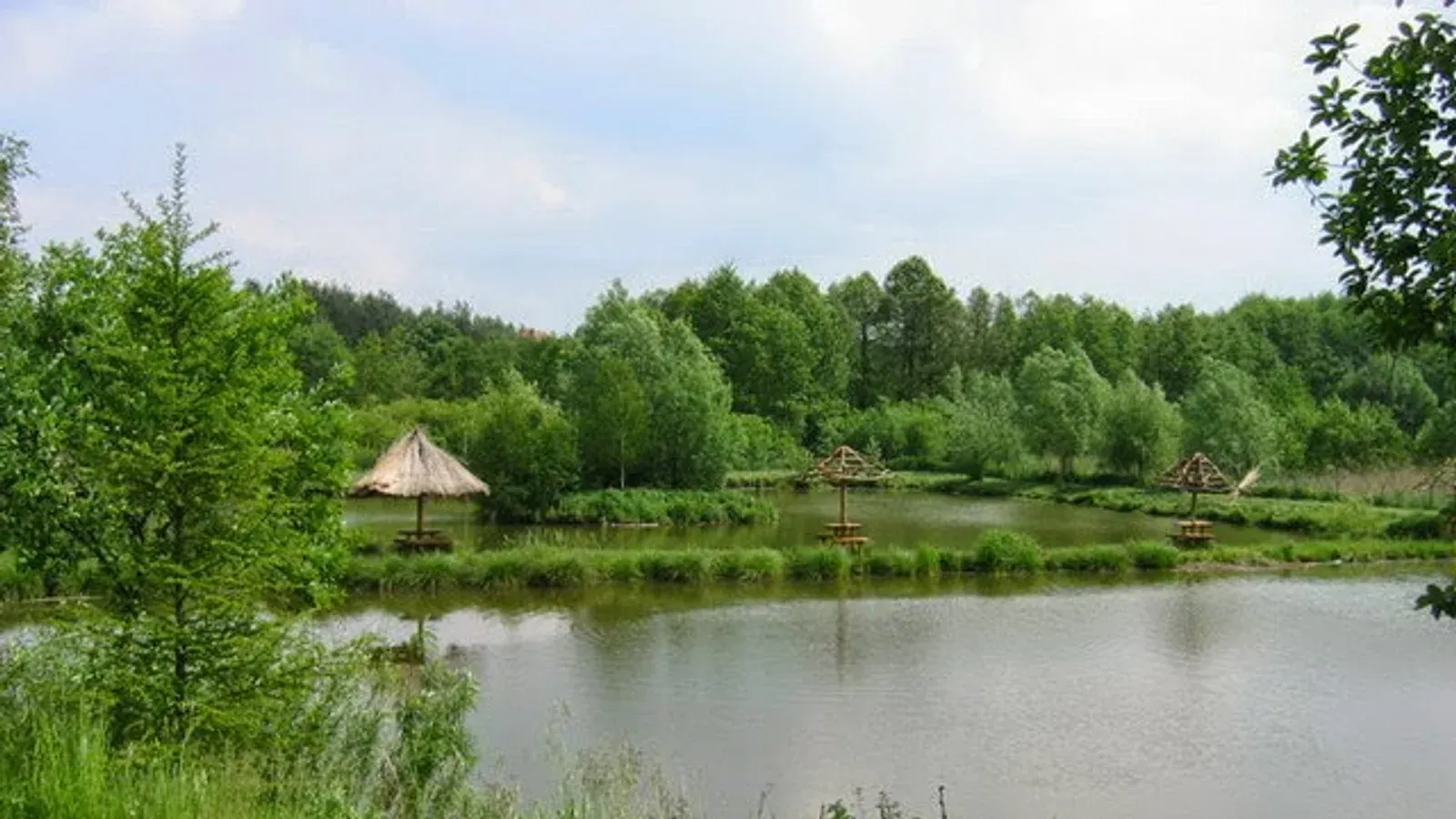 Zdjęcie: Łowisko Aturex w Brzezinach