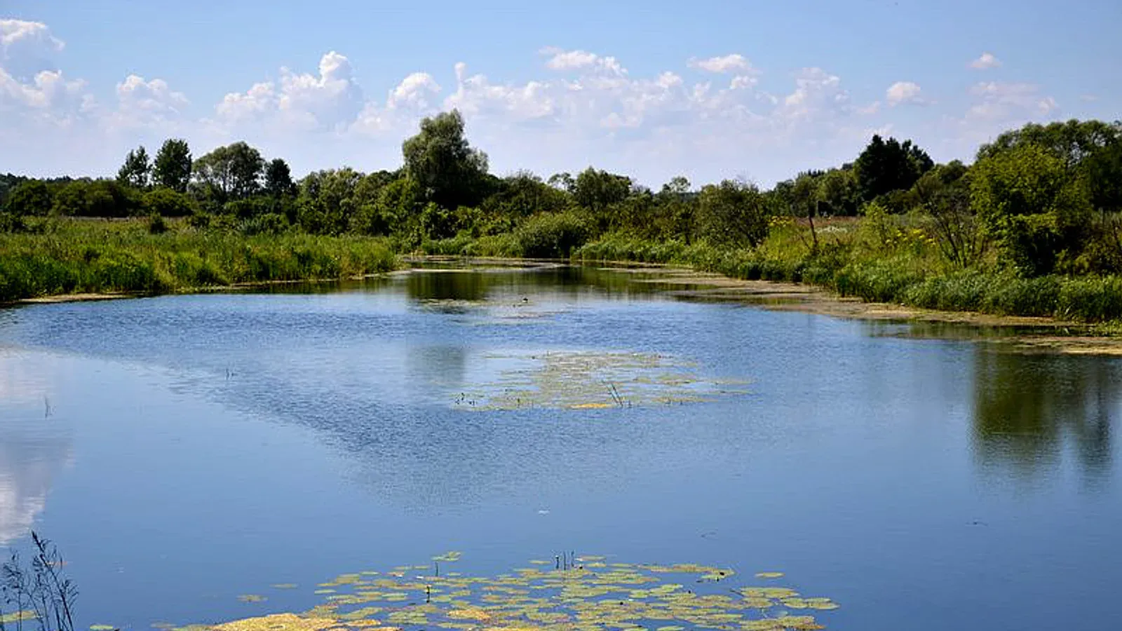 Zdjęcie: Łowisko Bagna u Mańka Agroturystyka