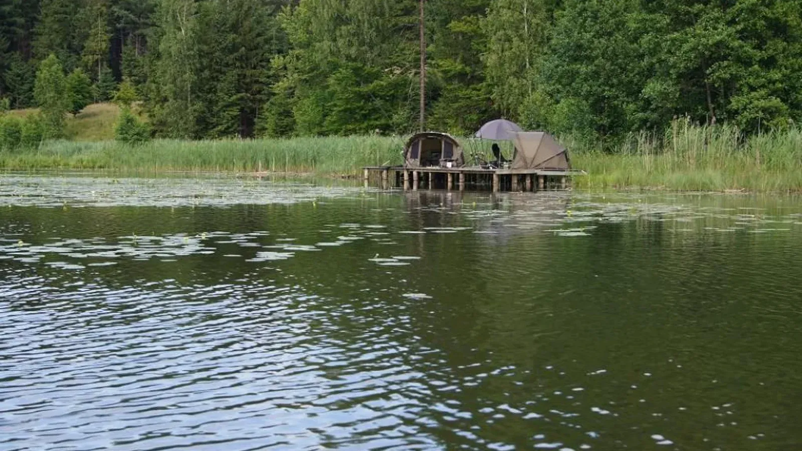 Łowisko Barduta — łowisko komercyjne w Trzebielino, woj. pomorskie
