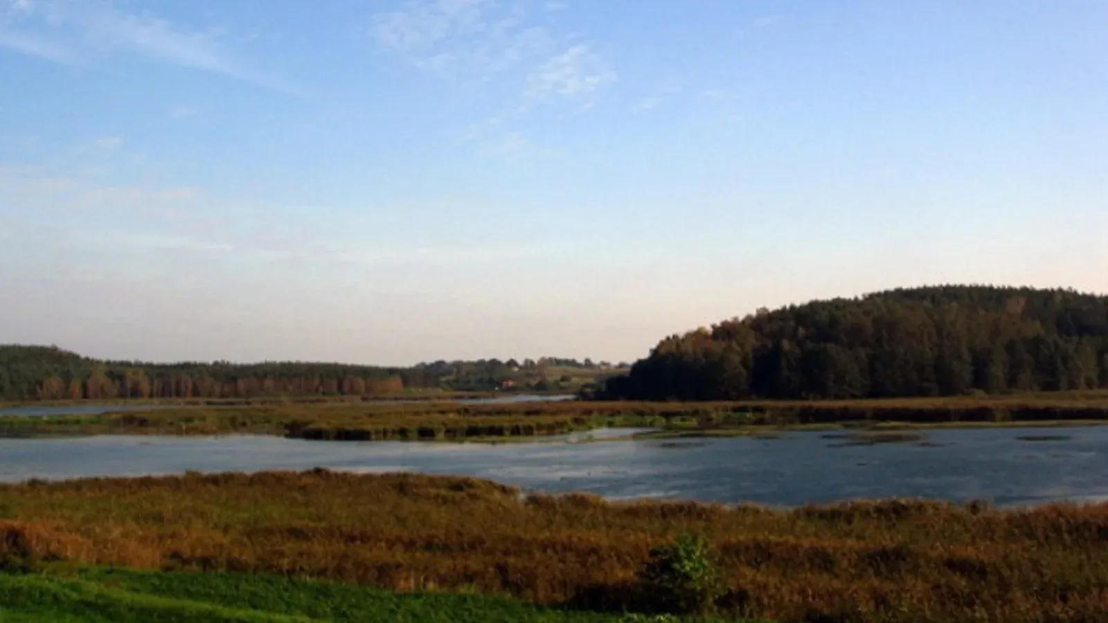 Łowisko Bogdańskie — łowisko komercyjne w Barczewo, woj. warmińsko-mazurskie