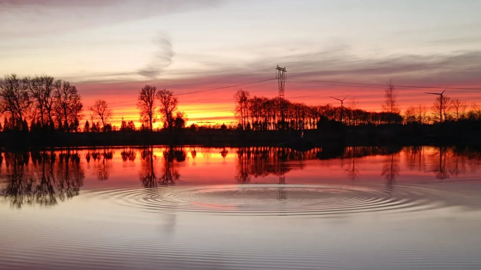 Zdjęcie: Łowisko Carp Camp Warnino
