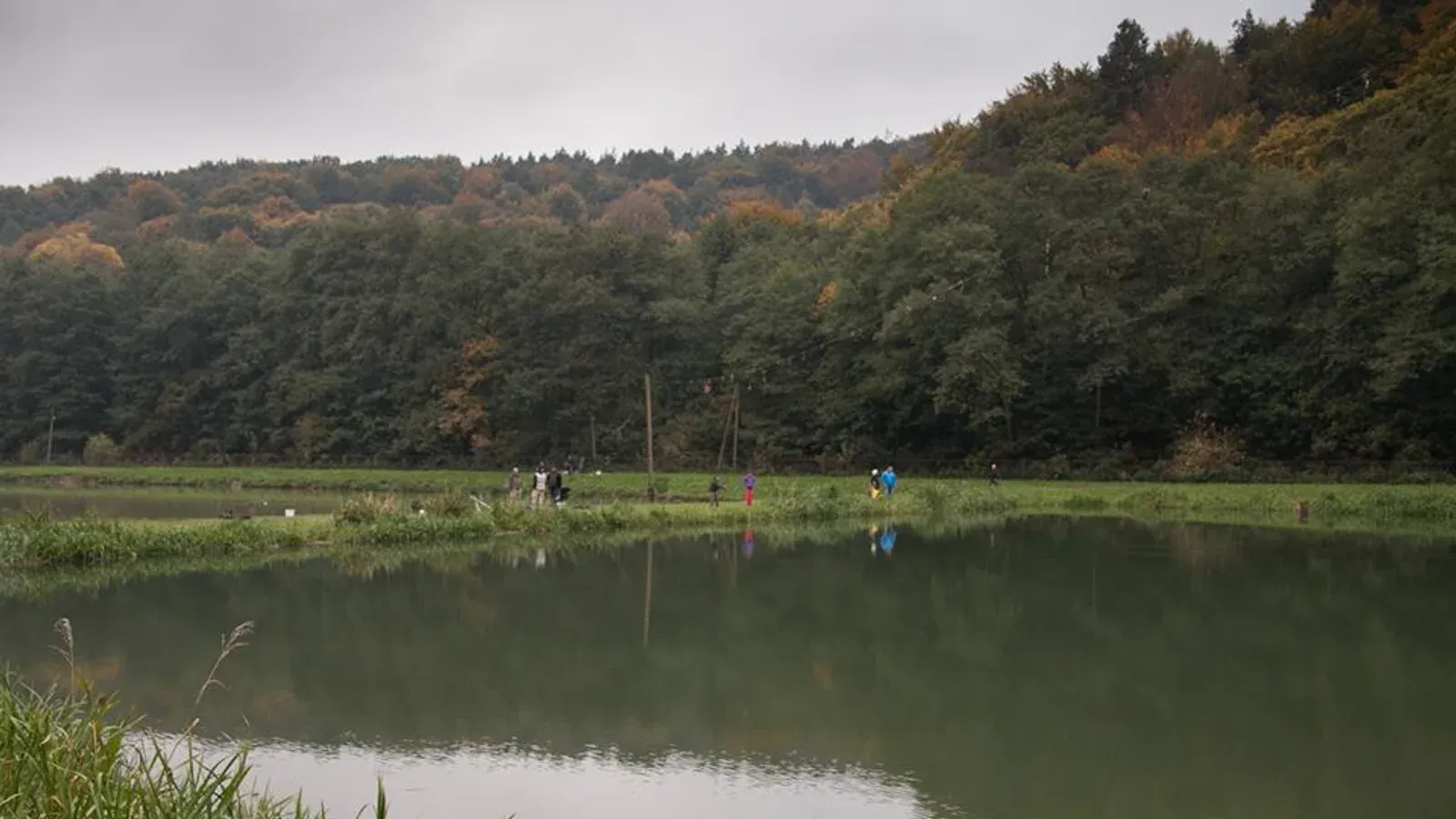 Zdjęcie: Łowisko Dolina Będkowska