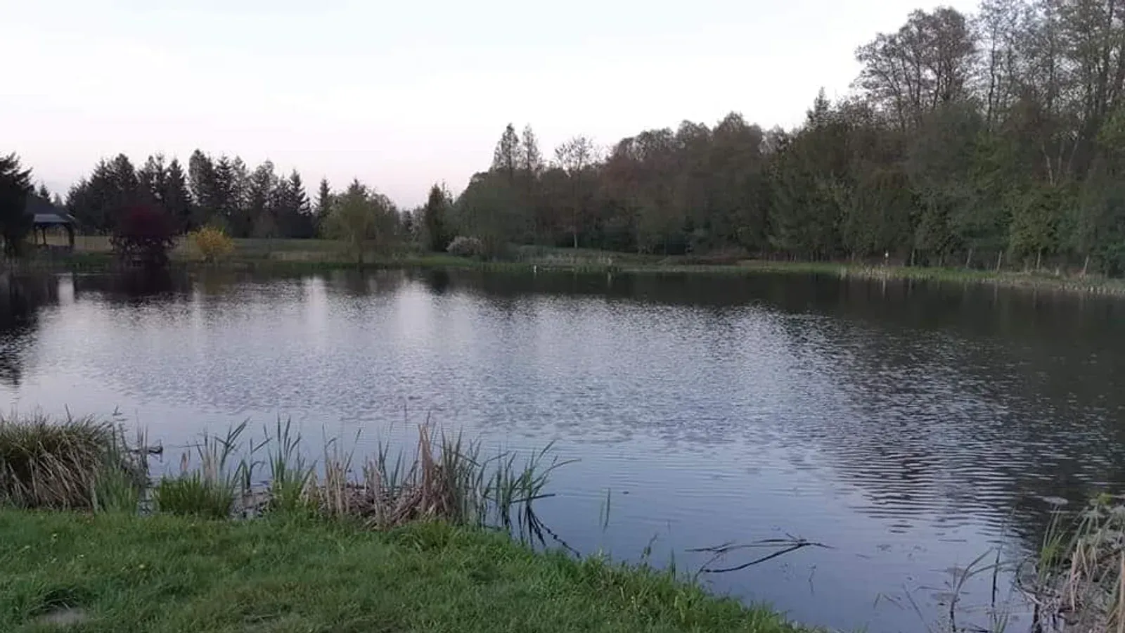 Łowisko Dolina Stawów Czarże — łowisko komercyjne w Dąbrowa Chełmińska, woj. kujawsko-pomorskie