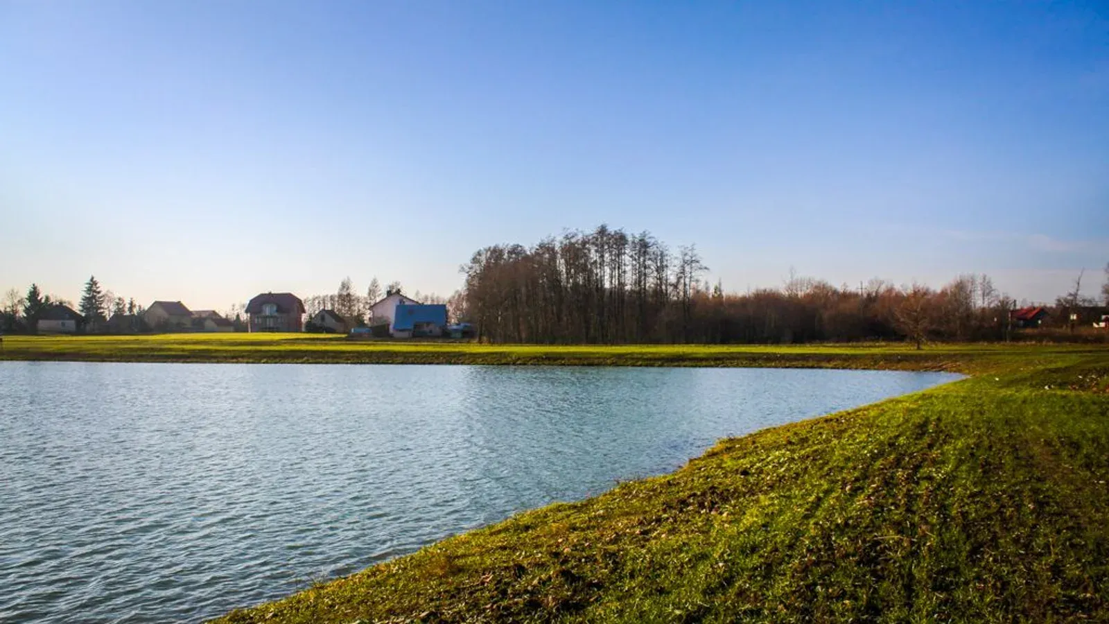 Łowisko Extra Carp — łowisko komercyjne w Wierzchosławice, woj. małopolskie