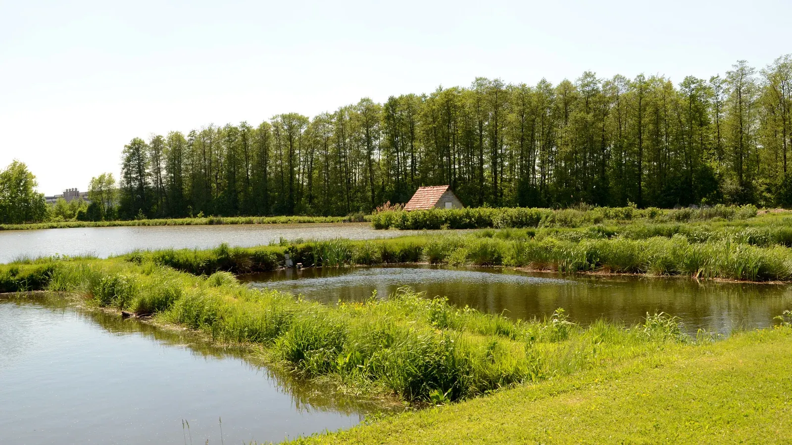 Zdjęcie: Gospodarstwo Rybackie Chościszowice