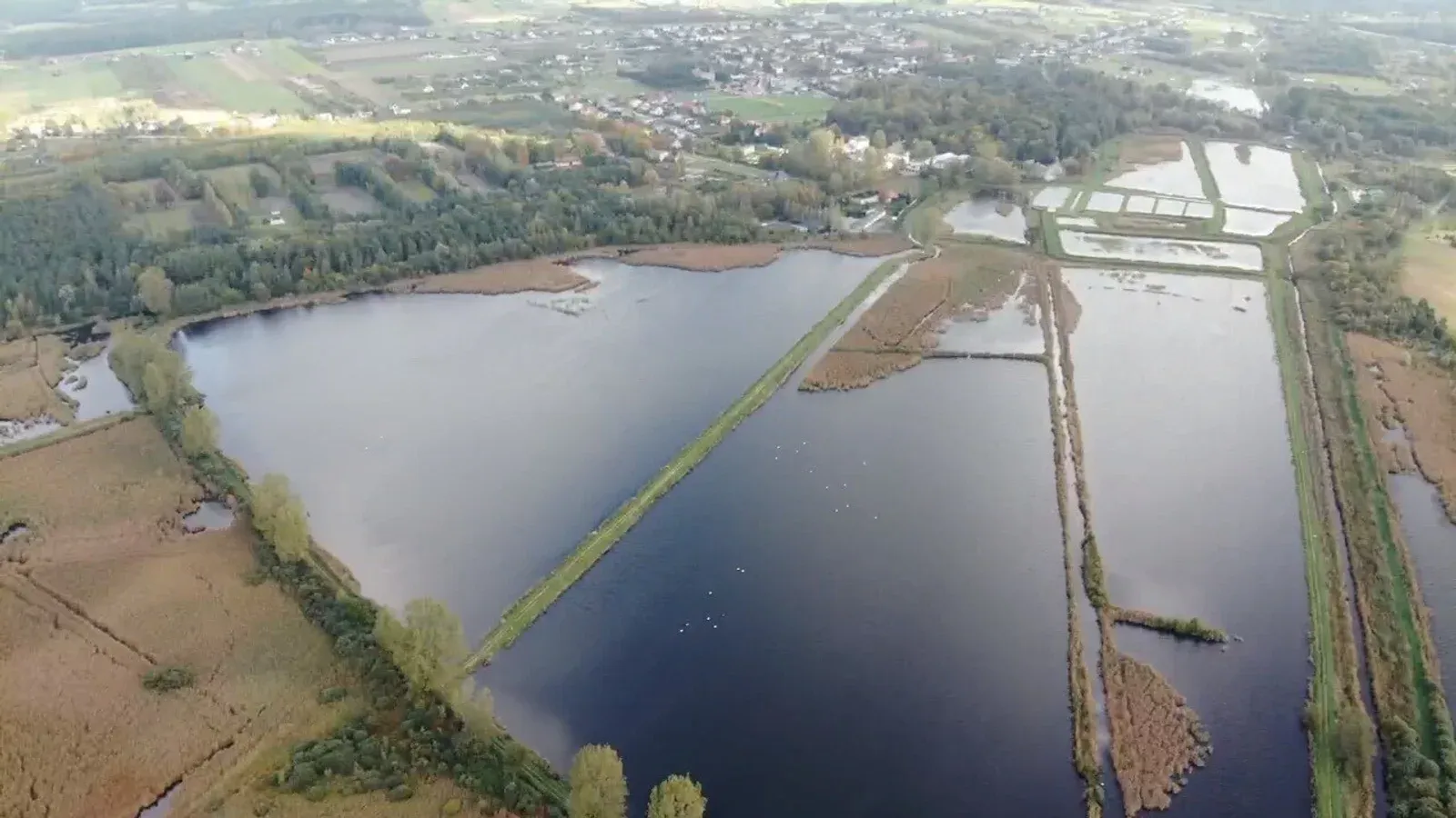 Zdjęcie: Gospodarstwo Rybackie Orońsko