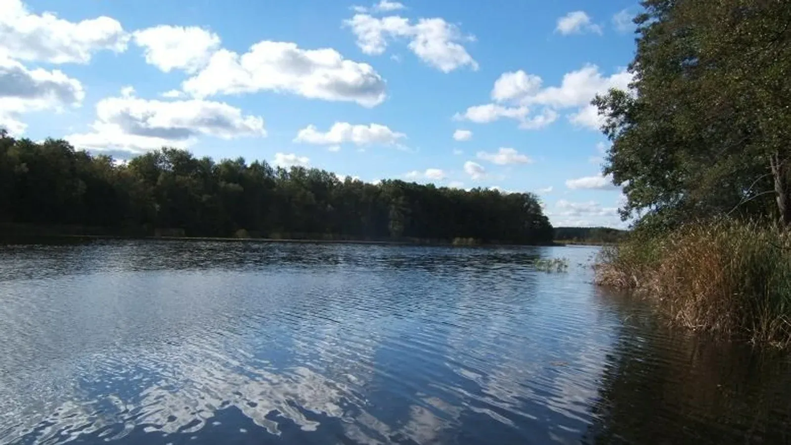 Zdjęcie: Jezioro Błotne