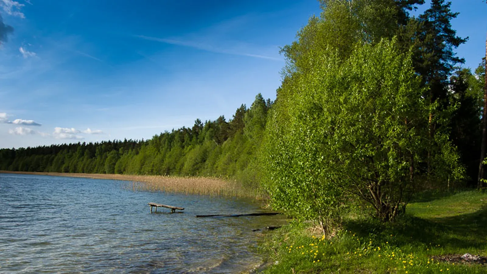 Zdjęcie: Jezioro Płaskie
