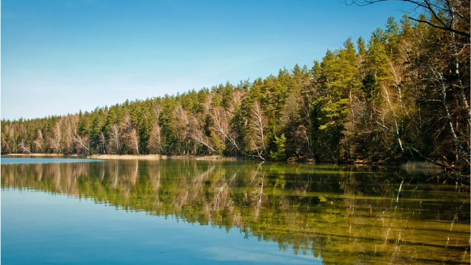 Zdjęcie: Jezioro Serwy