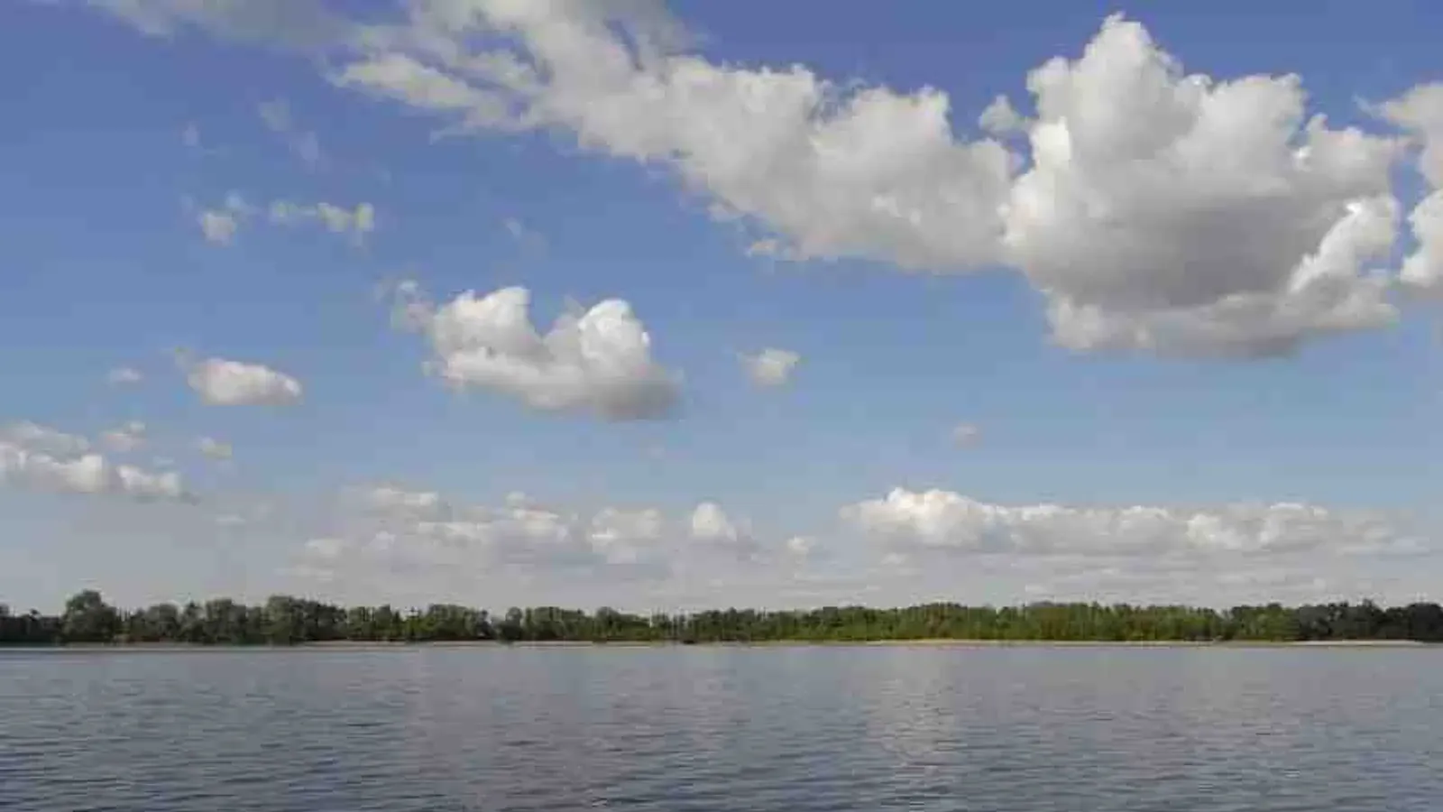 Jezioro Szarcz Duży — łowisko komercyjne w Pszczewo, woj. lubuskie