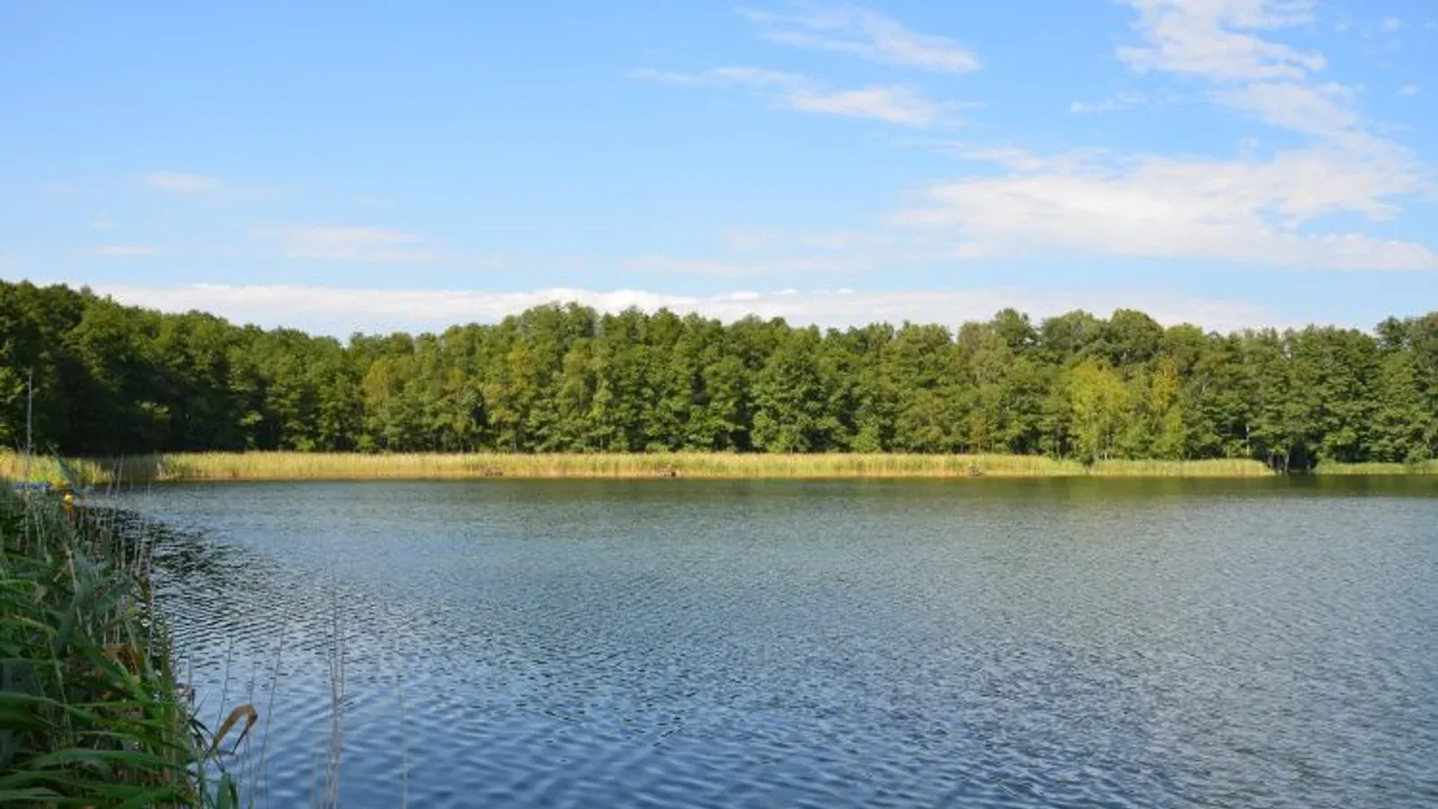 Jezioro Tarnowskie Małe — łowisko komercyjne w Sława, woj. lubuskie