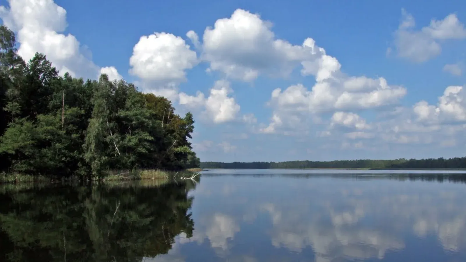 Zdjęcie: Jezioro Tarnowskie Duże