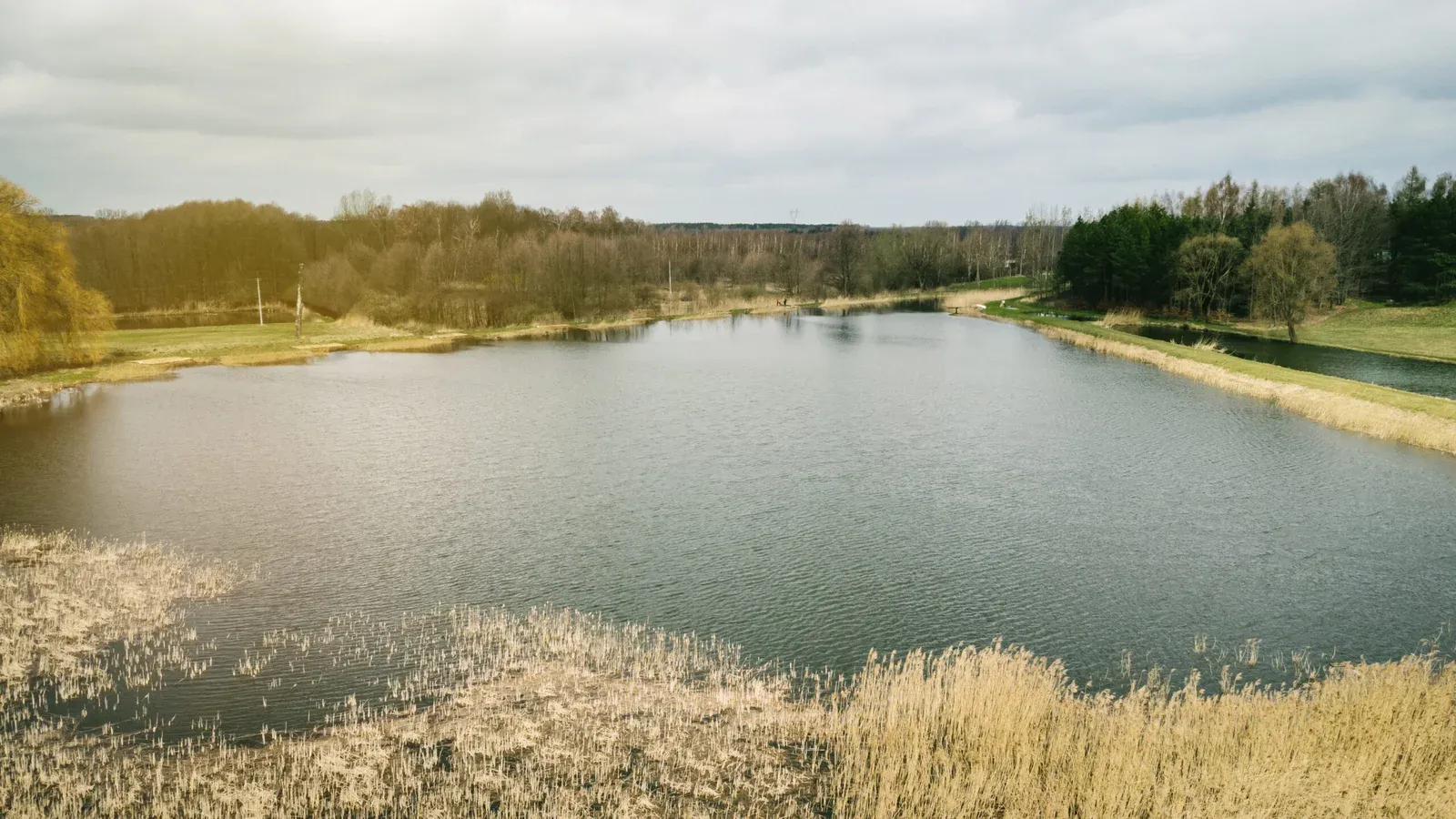 Zdjęcie: Łowisko komercyjne Karper Lake