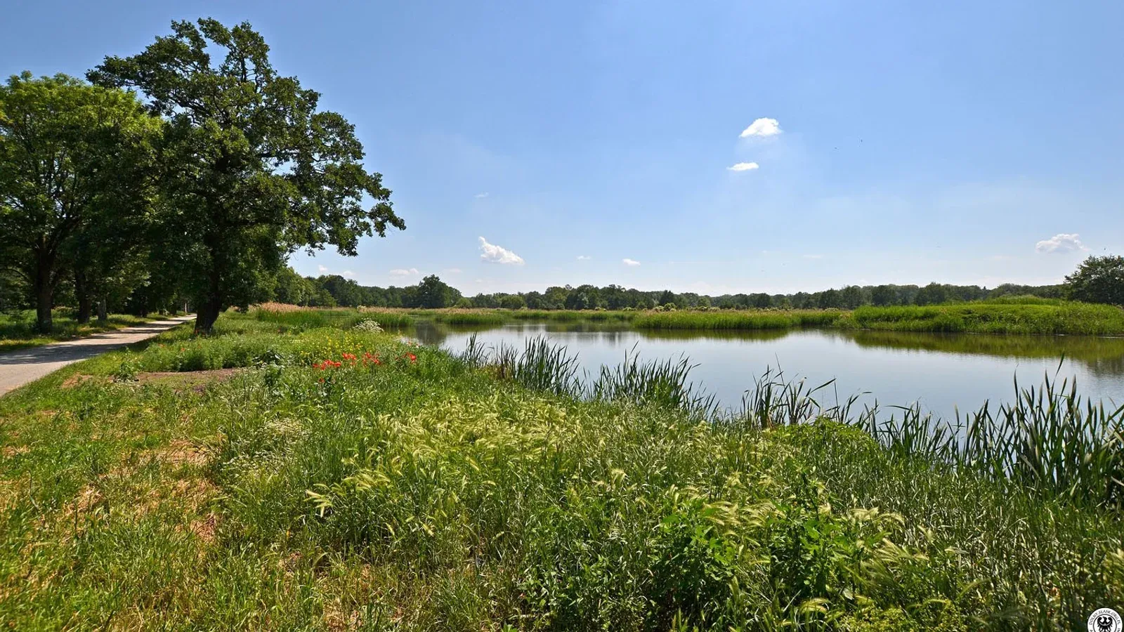 Łowisko Krobielowice — łowisko komercyjne w Kąty Wrocławskie, woj. dolnośląskie