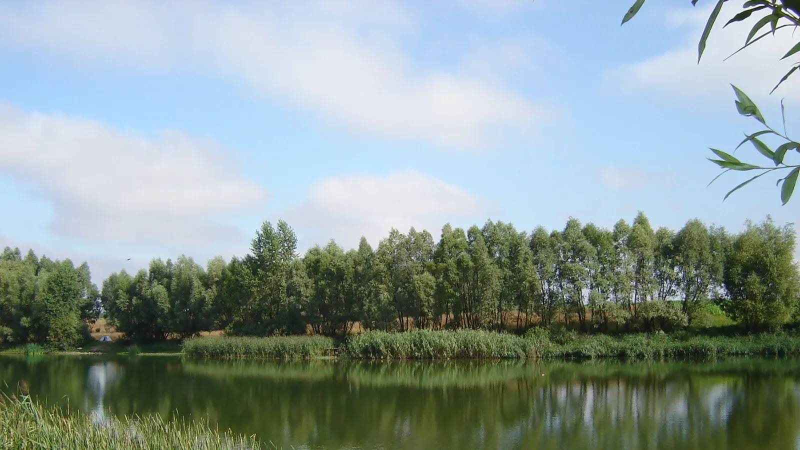 Łowisko Krzekotowo — łowisko komercyjne w Dąbrowa, woj. kujawsko-pomorskie