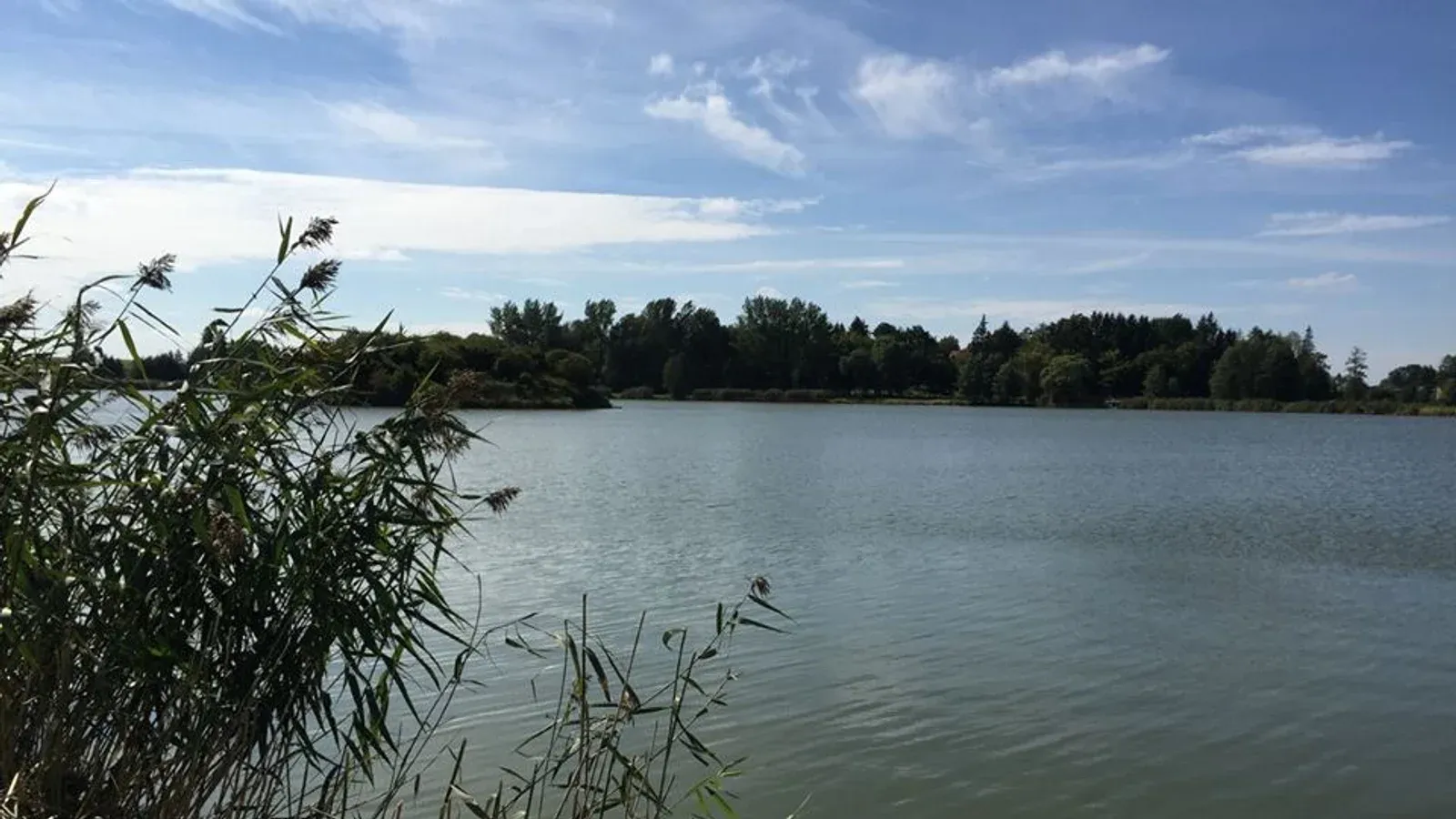 Zdjęcie: Łowisko Planta