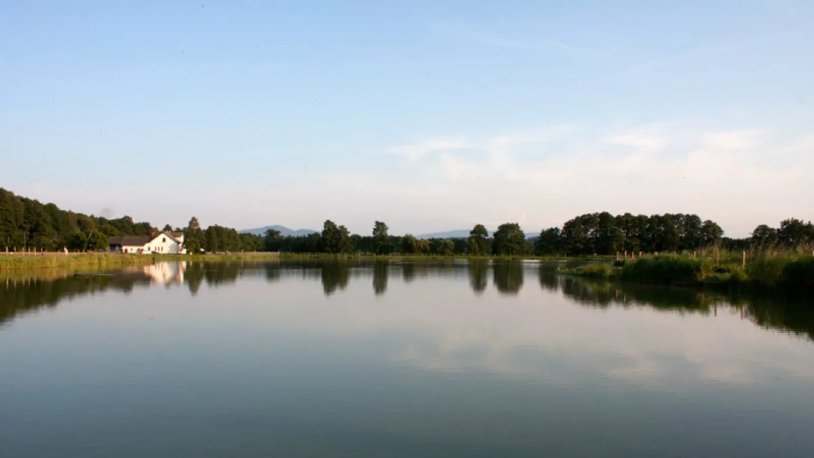 Zdjęcie: Łowisko pod Borem