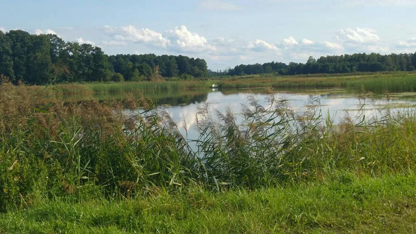 Zdjęcie: Łowisko Pokaniewo