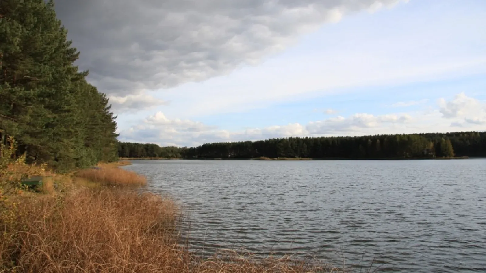 Łowisko na Jeziorze Czarnym Niesiołowice — łowisko komercyjne w Stężyca, woj. pomorskie