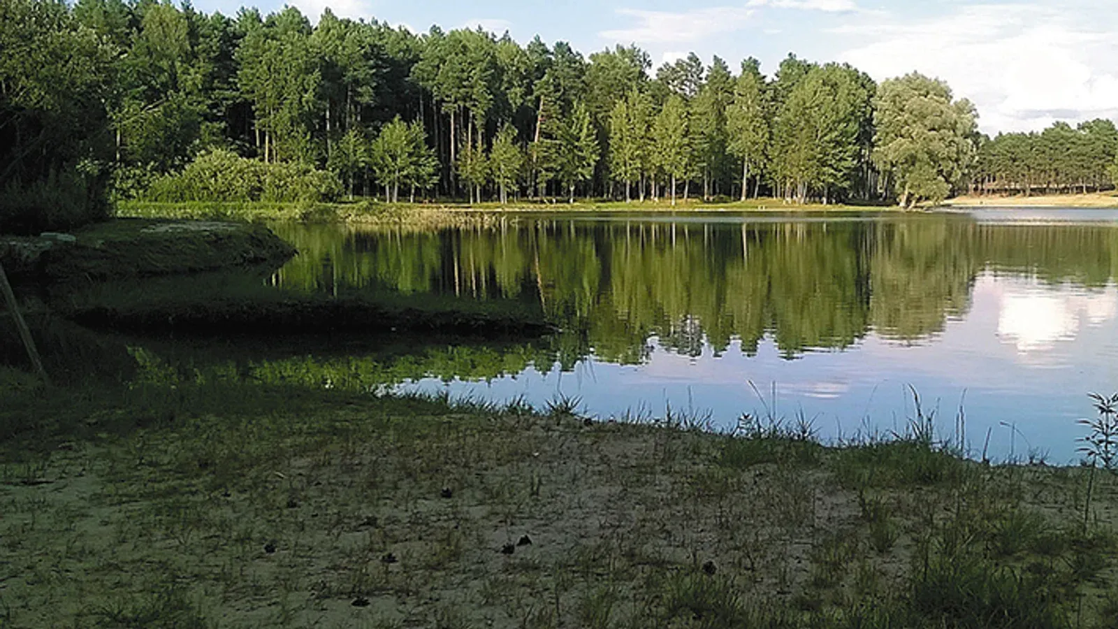 Łowisko Droszków Natan — łowisko komercyjne w Zabór, woj. lubuskie