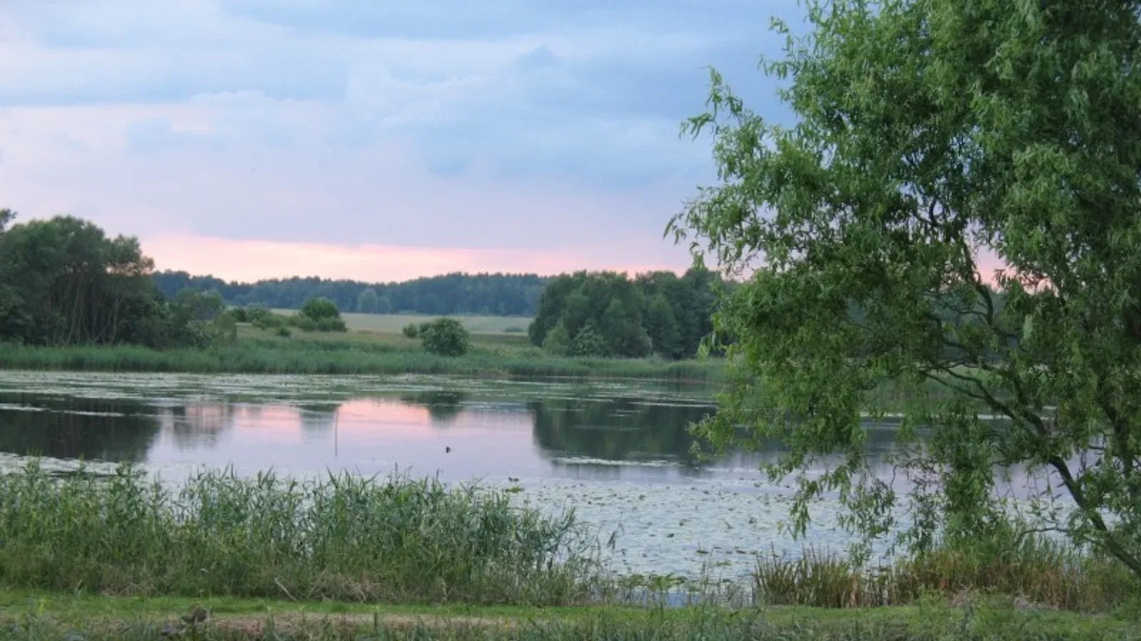 Zdjęcie: Ośrodek Azyl Mironice