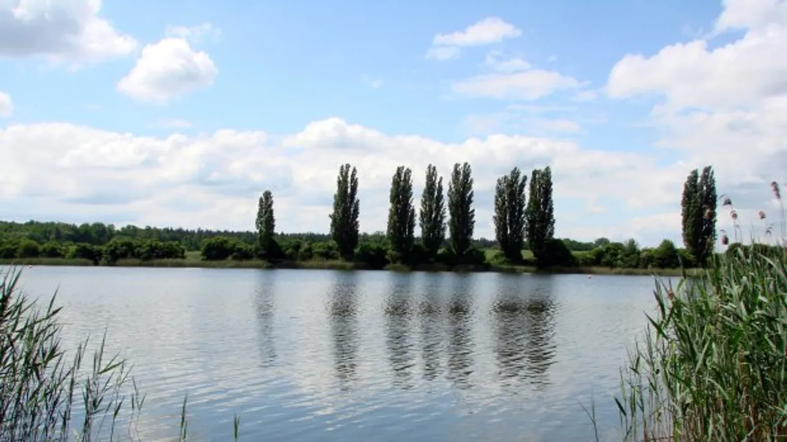 Łowisko Pamiątkowo — łowisko komercyjne w Szamotuły, woj. wielkopolskie