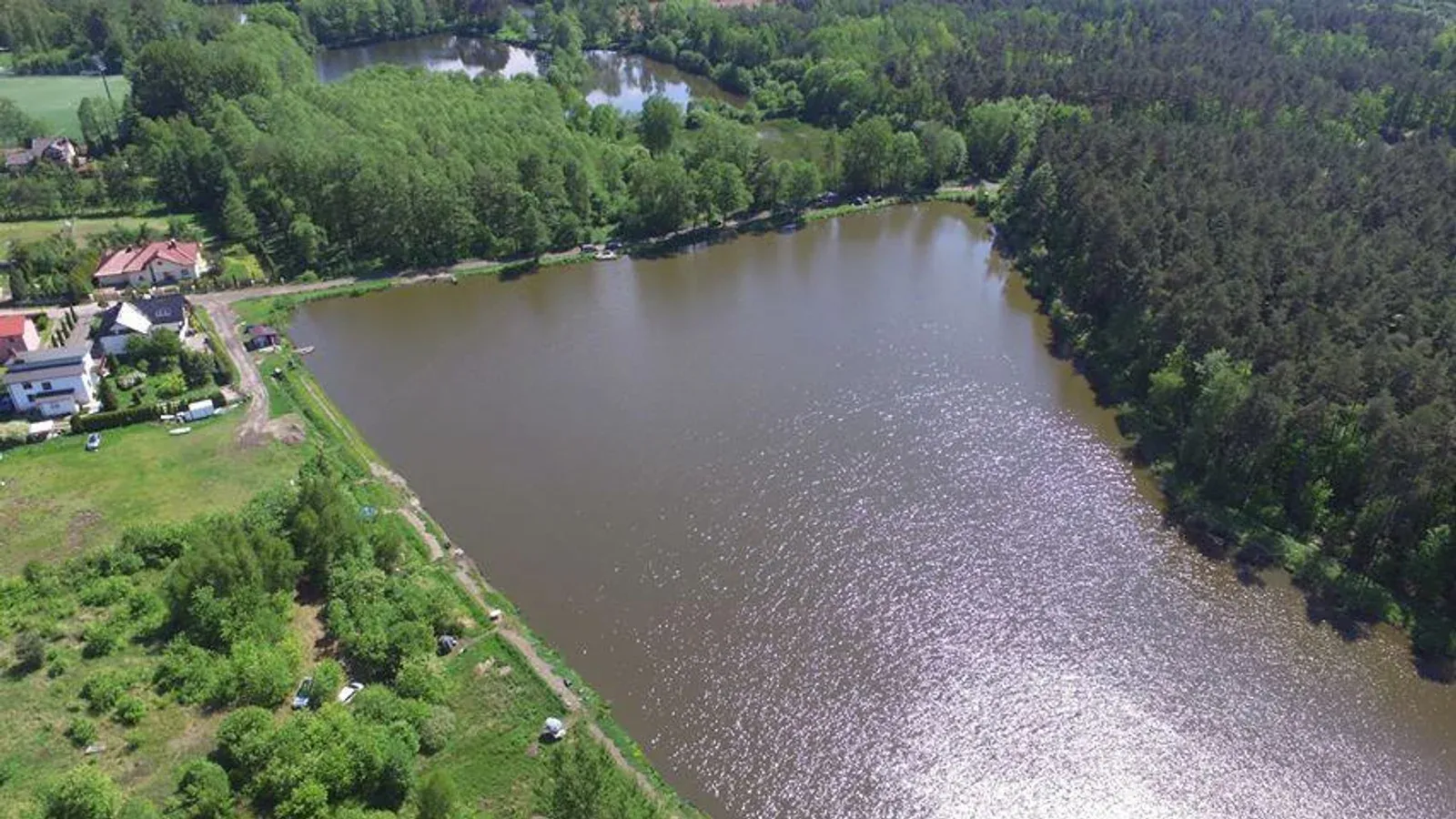 Łowisko Pod Lasem — łowisko komercyjne w Rybnik, woj. śląskie