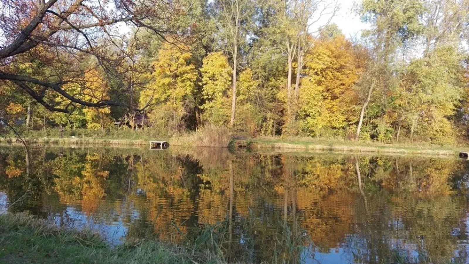 Łowisko Siemień — łowisko komercyjne w Siemień, woj. lubelskie