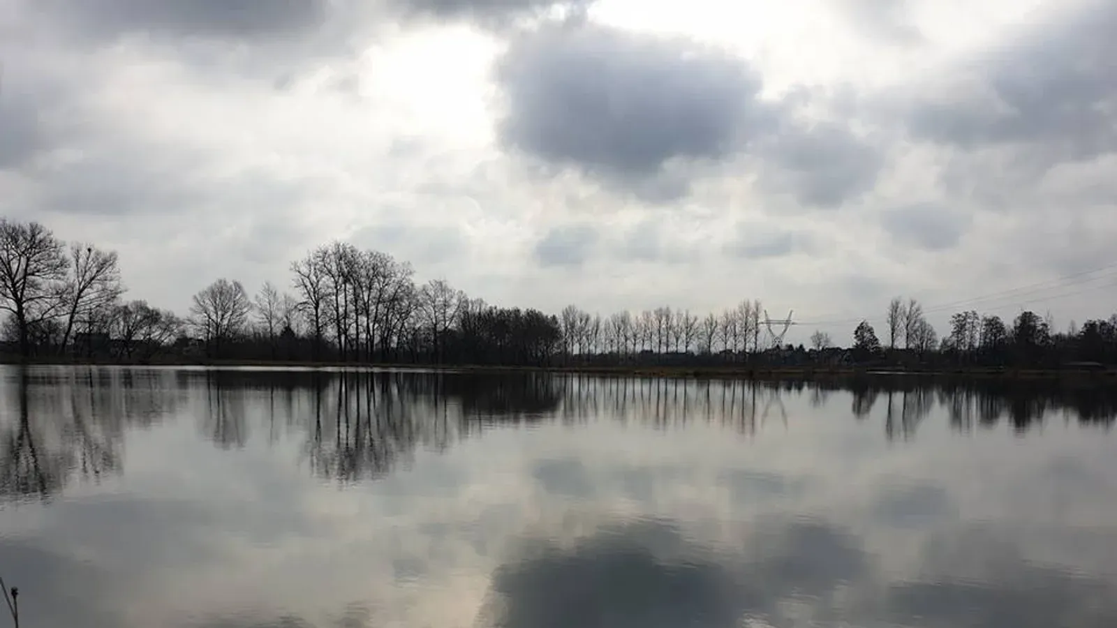 Łowisko Specjalne Halinów — łowisko PZW w Halinów, woj. mazowieckie