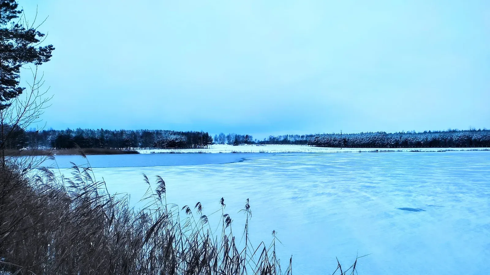 Zdjęcie: Łowisko SR Baits Carp Lake
