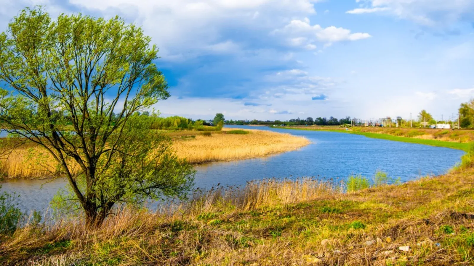 Zdjęcie: Łowisko Stary San Hurko