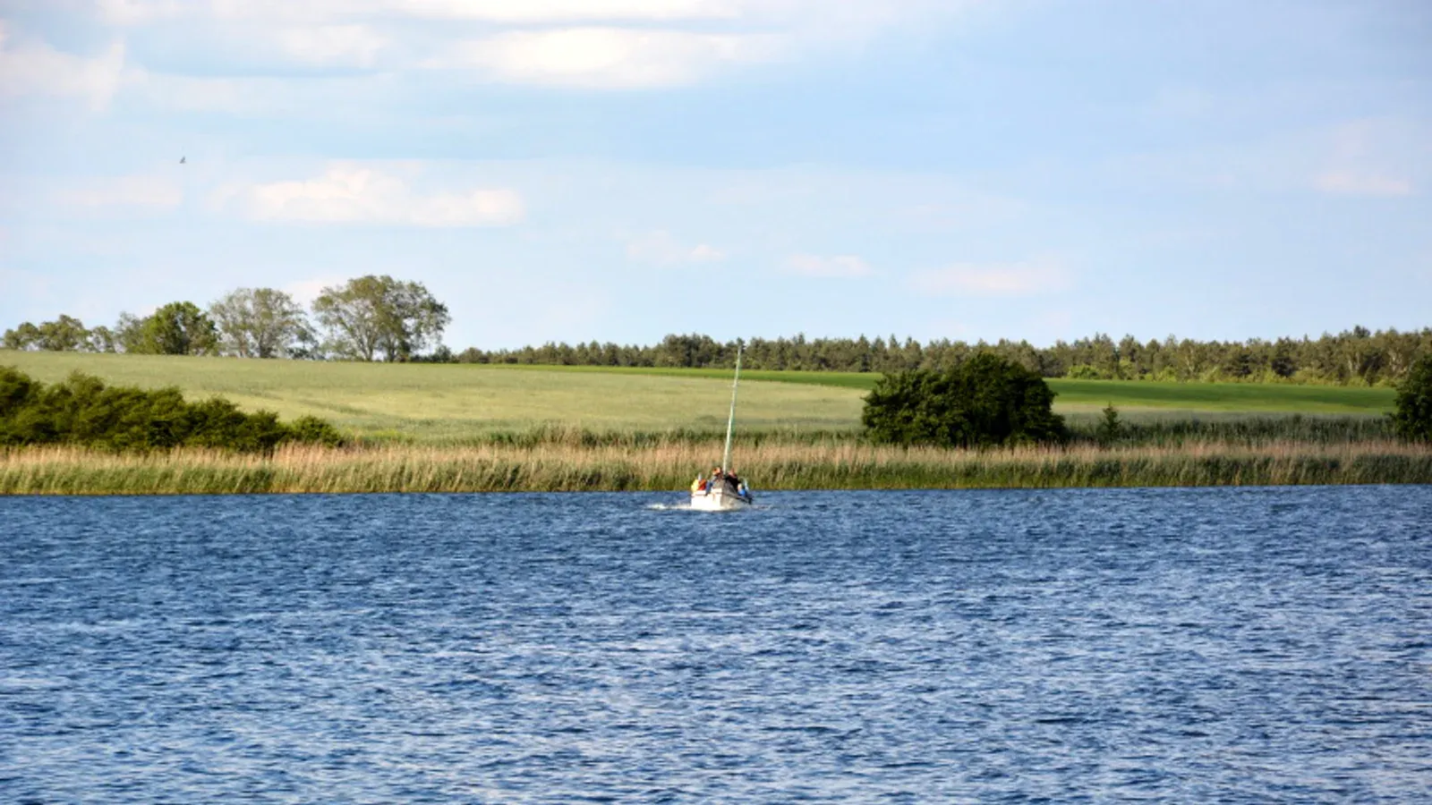 Łowisko Świniary (Kłeckie) — łowisko komercyjne w Kłecko, woj. wielkopolskie