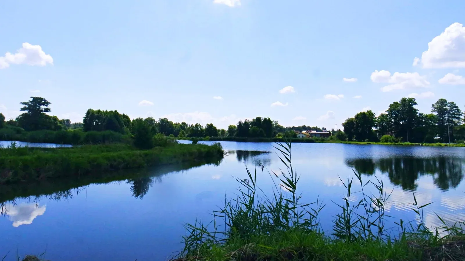 Łowisko u Barona — łowisko komercyjne w Rudziczka, woj. śląskie