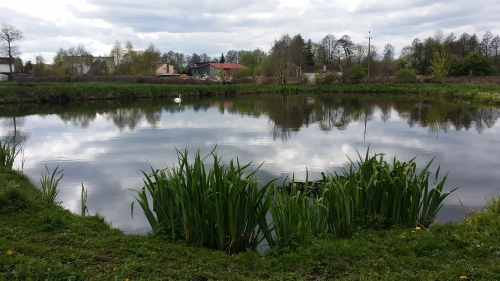 Łowisko Wędkarskie Gackowski — łowisko komercyjne w Wielka Nieszawka, woj. kujawsko-pomorskie