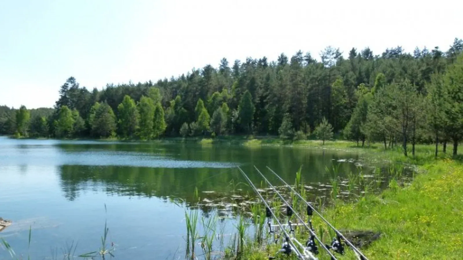 Zdjęcie: Łowisko Wodna Osada Grzegorzowice