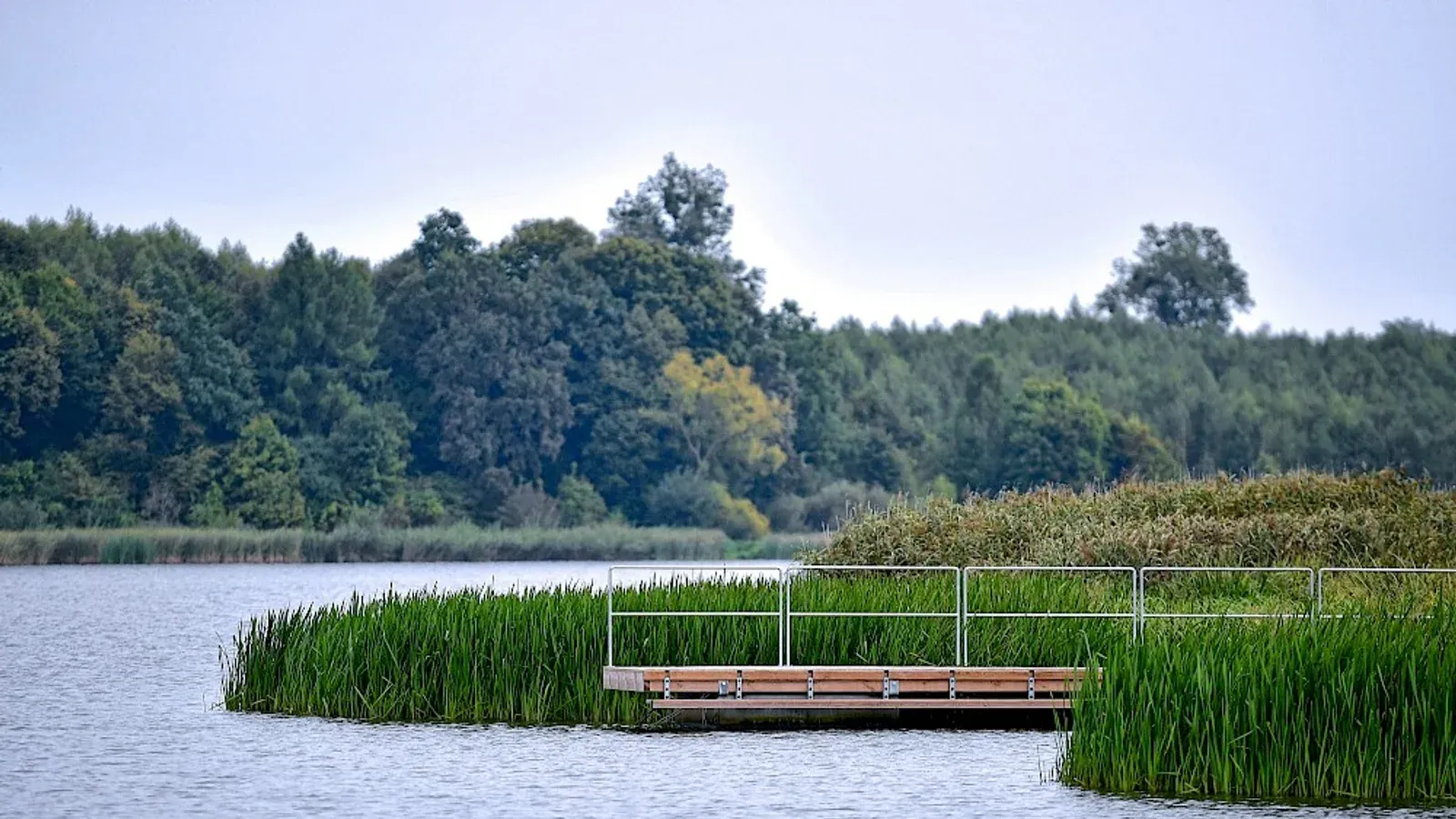 Zalew Krynice — łowisko komercyjne w Krynice, woj. lubelskie
