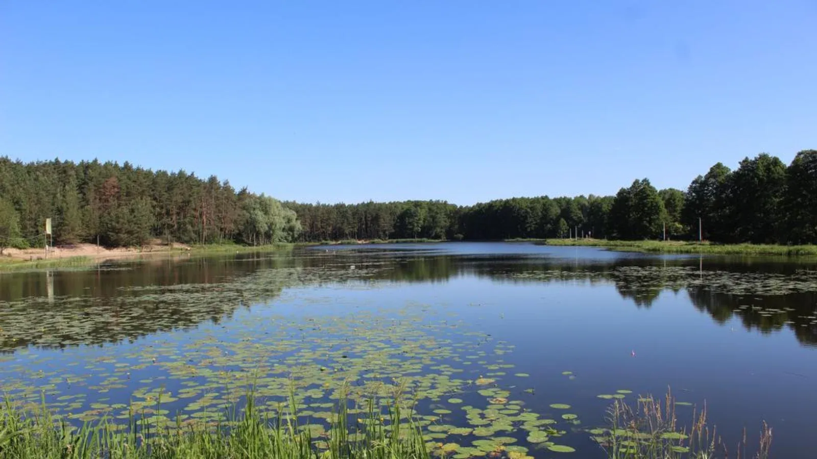 Zalew Piechota Gostynin — łowisko komercyjne w Gostynin, woj. mazowieckie