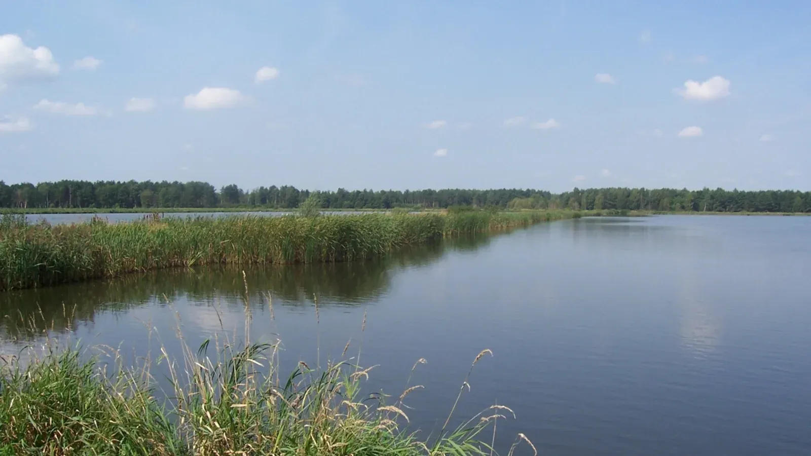 Zdjęcie: Łowisko Zatyle