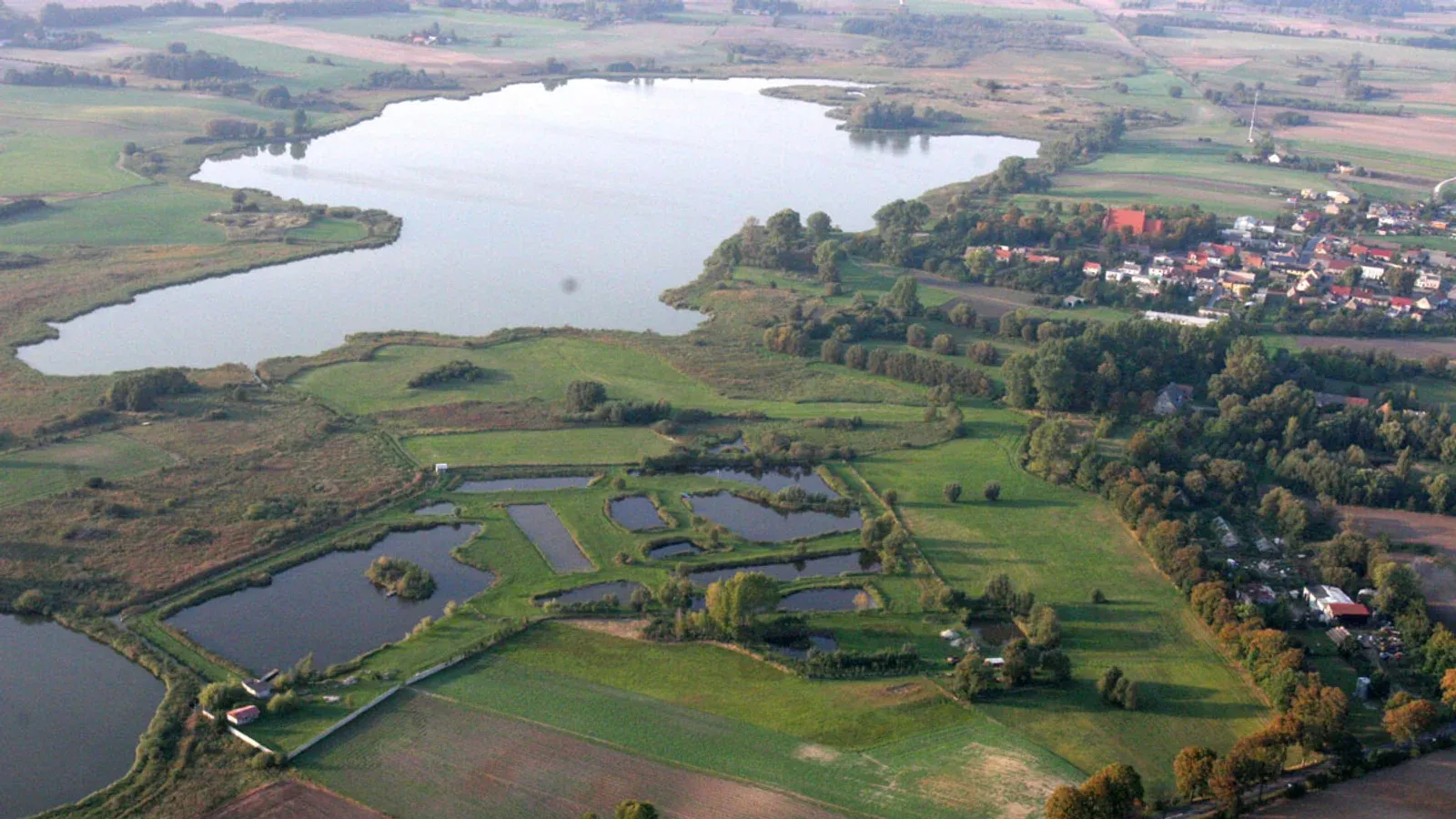 Zdjęcie: Złota Rybka